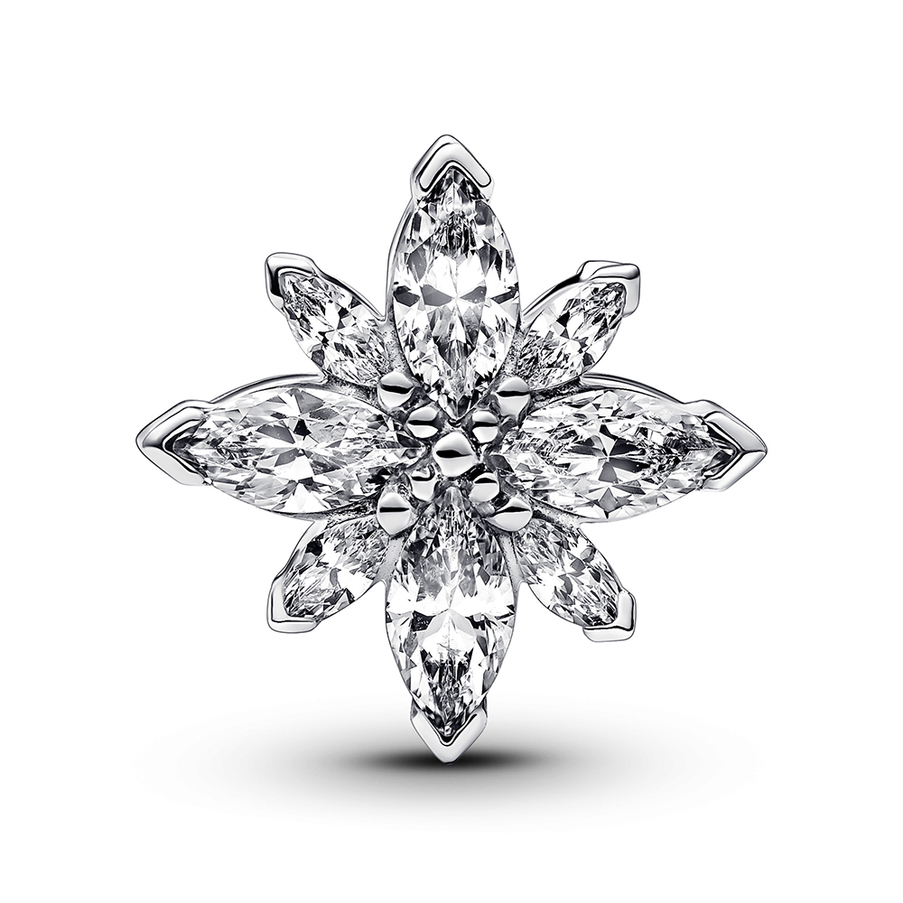 PANDORA Funkelnder Polarstern Charm 793591C01