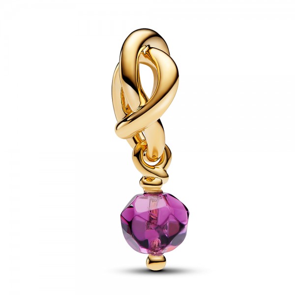 PANDORA SHINE Facettierter violetter Ewigkeitskreis Charm-Anhänger FEBRUAR 763462C02